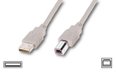 Кабель USB - USB BM 1.8 м Atcom White (3795) 30739 фото