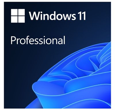 Windows 11 Професійна, 64-bit, англійська версія, на 1 ПК, OEM версія для збирачів (FQC-10528) 238894 фото